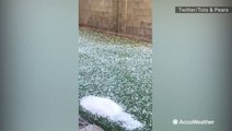 This yard is completely littered with hail