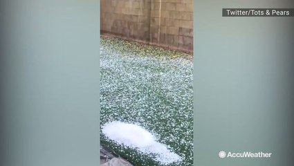 This yard is completely littered with hail