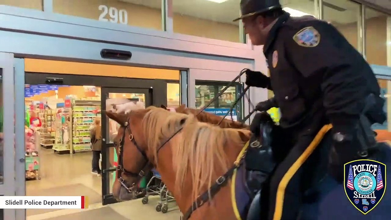 A Horse Walks Into A...PetSmart video Dailymotion