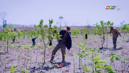 Rừng thiêng - tập 18