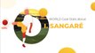 Ibrahim Sangaré Goals & Stats • Amazing Career, Teams, Net Worth • Ibrahim Sangaré Age