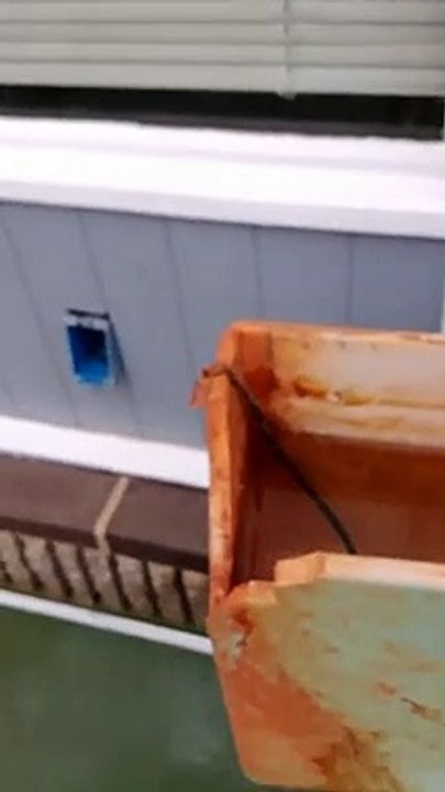 My 1962-63 Eljer Emblem Toilet flushing 5 paper towels