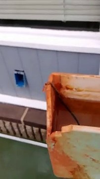 My 1962-63 Eljer Emblem Toilet flushing 5 paper towels