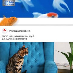 VIDEO TIENDA MASCOTAS F