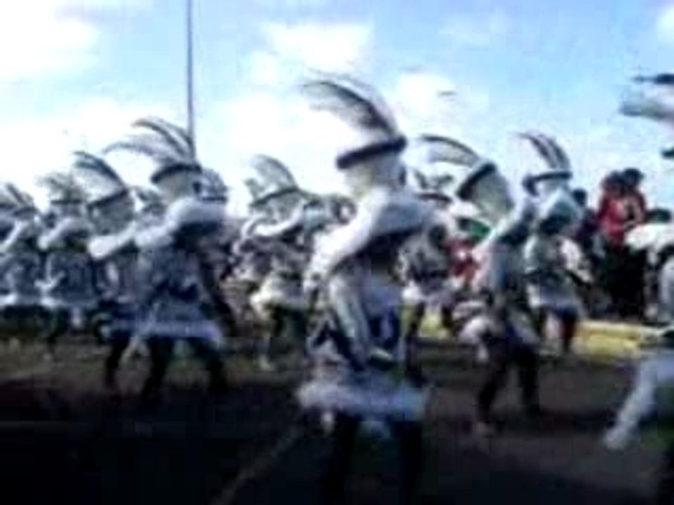 AU CARNAVAL 2008 A MOULE.05/02/2008 en  GUADELOUPE