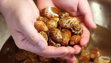 Sea snails are a staple street food in Vietnam, with an entire street dedicated to them in Ho Chi Minh City