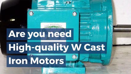 Here available High quality W Cast Iron Motors