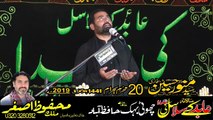 Zakir Syed Munwar Hussain Shah 20th Muharam 1441 2019 Choti Behak Hafizabad