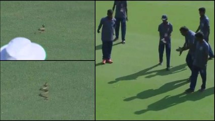 Mass Entry From Snake During Ranji Trophy Match | Oneindia Malayalam