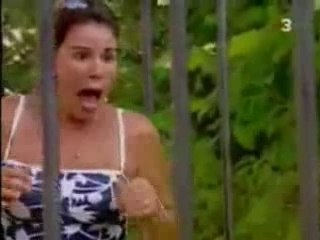 Pourquoi filles chaudes effrayées avec le gorille