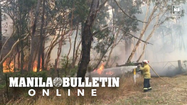 Firefighters battle bushfires outside Sydney