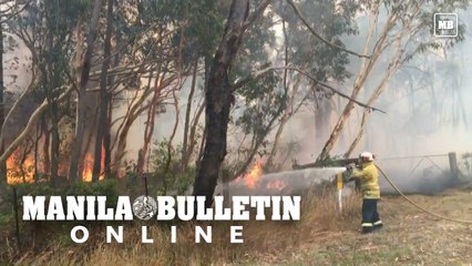 Firefighters battle bushfires outside Sydney