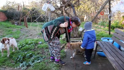 40 yıllık hayvan sevgisini evinin bahçesine taşıdı