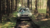 New Subaru Forester ECO HYBRID Technology