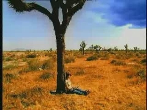 Ho Yeow Sun Album - Lonely Travel, You Are My Star