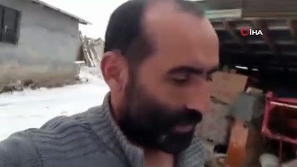 Aç kurtlar köyü basıp köpeğe saldırdı...O anlar kamerada