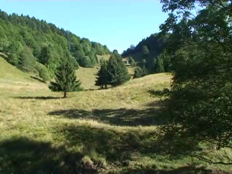Montagne de Bange 1451 m depuis Arith - Bauges