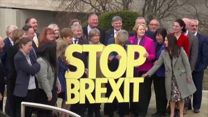 الأحزاب البريطانية الصغيرة تشكل ما يشبه التحالف رفضا للبريكست