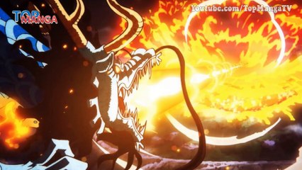 Râu trắng từng đã đánh bại Kaido?