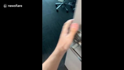 Bushfire smoke blankets sky outside office block in Sydney