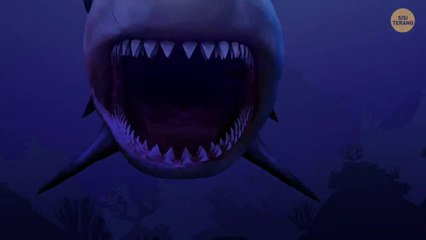 Makhluk di Palung Mariana yang Lebih Seram Daripada Megalodon