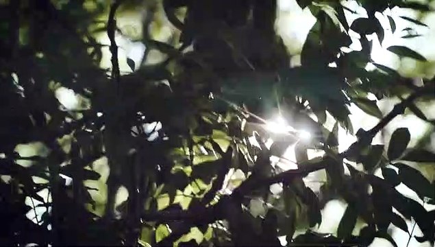 70 years of National Parks with Caroline Quentin