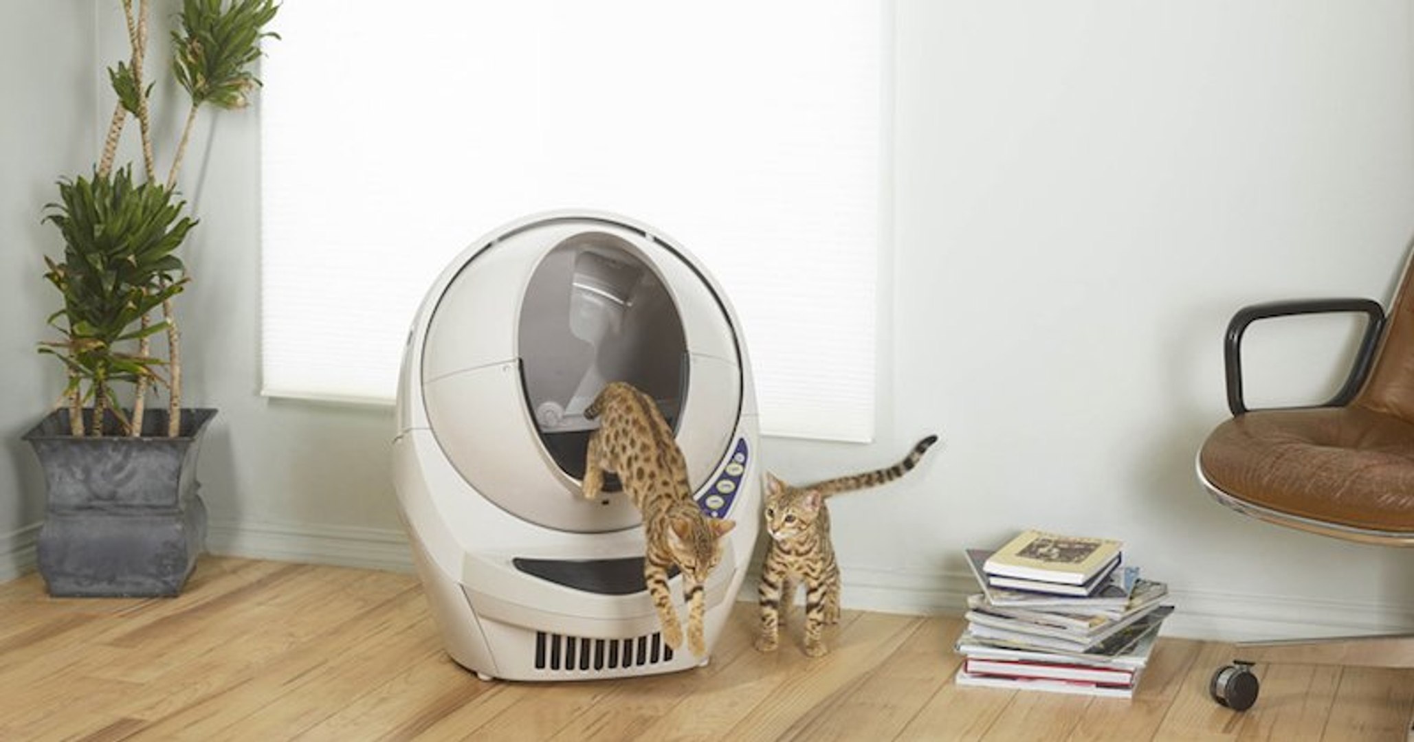 Litter Robot Iii La Litiere Autonettoyante Qui Va Changer Votre Vie Et Celle De Votre Chat Video Dailymotion