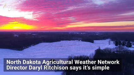 Strange Corn Field Pattern Phenomenon Captured By NASA Satellite