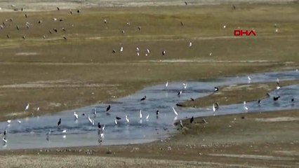 Gaziantep baraj suyu çekilince ortaya çıkan höyükte arkeolojik çalışma başlatıldı