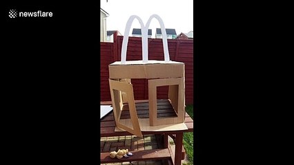 Irish mum builds her daughters their very own mini McDonald's drive-thru