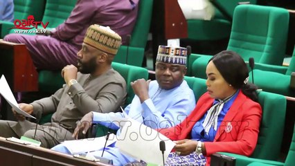 Reps want FG to review decision restricting SON, NAFDAC from accessing ports, boarders