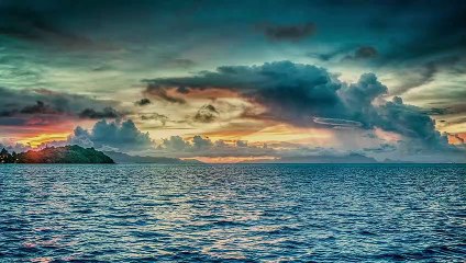 L'homme doit agir vite car l'oxygène de nos océans disparait à une vitesse alarmante