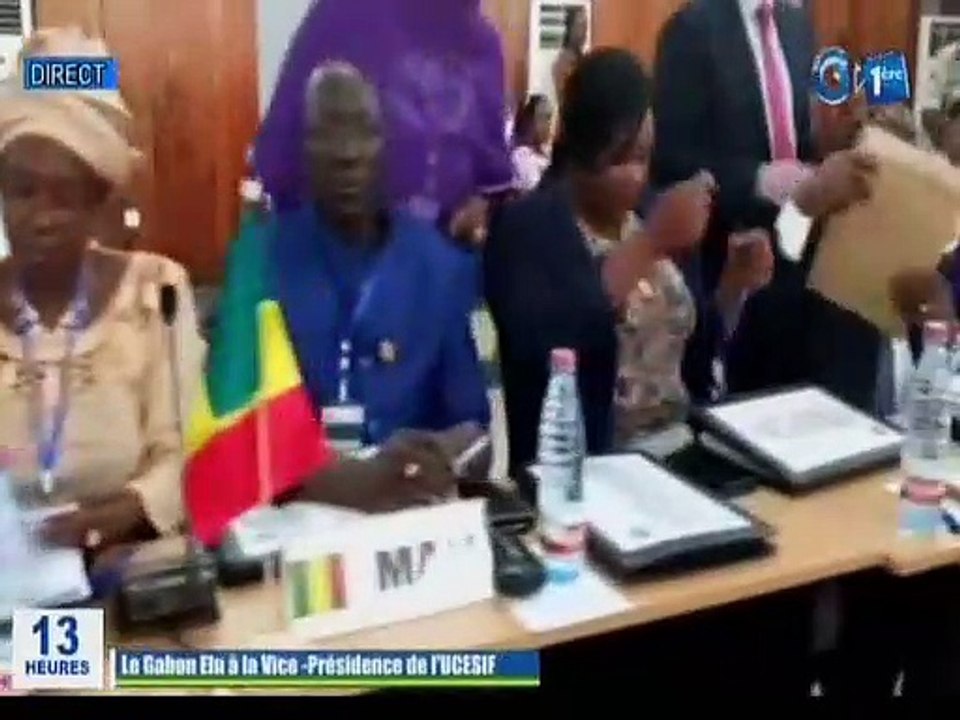 RTG/Le président du conseil économique social et environnemental prend part l’élection de l’union des conseils économiques et sociaux