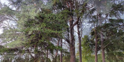 iPhone 11_ top 25+ features