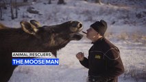 Animal Rescuers: Leffe’s Swedish wild moose farm