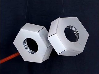 Crazy Nuts Illusion-