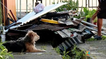LIVE: Este martes arranca la Limpiathon - 10 Diciembre 2019