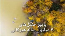 عکس‌هایی از پاییز جنگل‌های ۴۰ میلیون ساله هیرکانی در ایران
