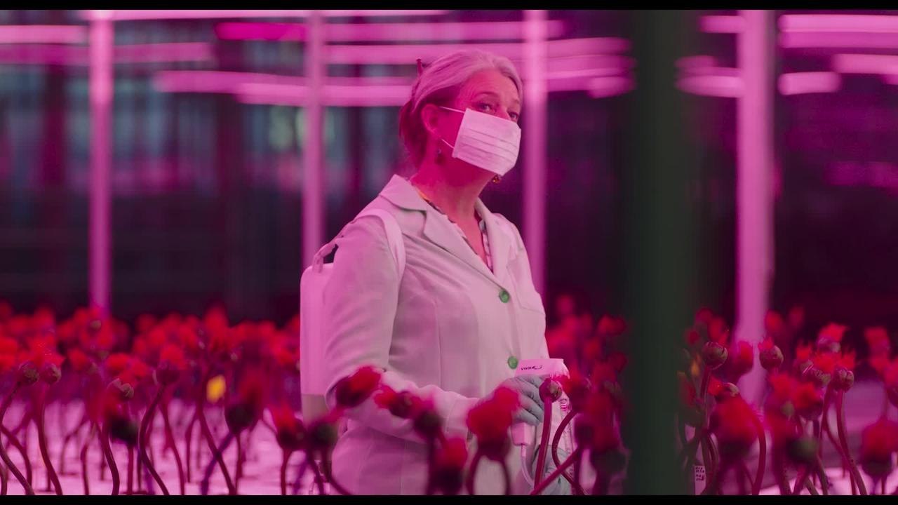 Little Joe - Cilp (Deutsch) HD