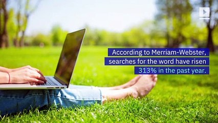 'They' Named Merriam-Webster’s Word of the Year