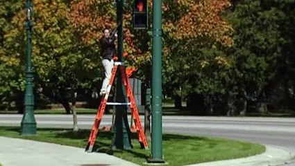 BBC - Horizon - 2004 - T Rex, Warrior or Wimp