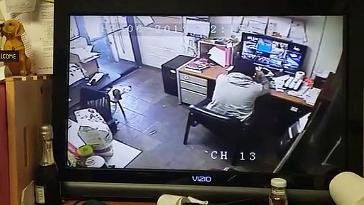 Ce chien s'ennuie : il prend une chaise pour s'asseoir à côté de son maitre !