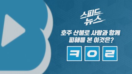 [스피드뉴스] 호주 산불로 사람과 함께 피해를 본 이것은? / YTN