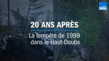 La forêt de Frasne (Haut-Doubs) 20 ans après la tempête de 1999
