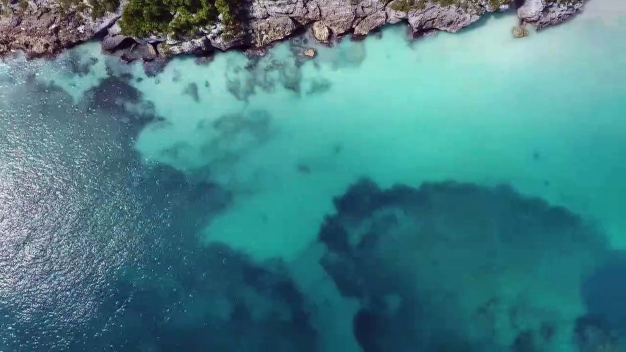 'Palmen aus Schaschlik“ - dkoolmusic