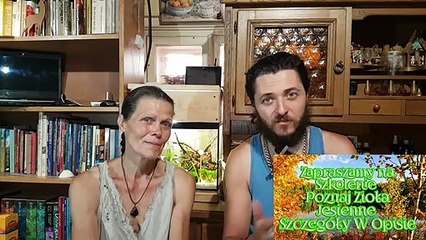 Nasze Podejscie Do Alkoholu I Doswiadczenia