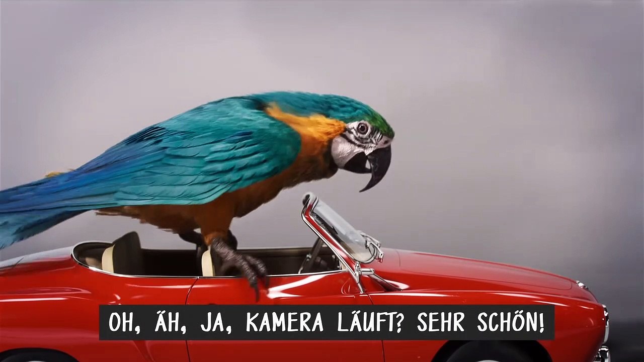 Die fantastische Reise des Dr. Dolittle Film - Casting mit Robert Downey Jr.