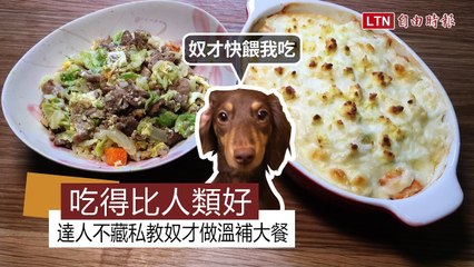 狗狗冬季溫補大餐，專家教你做🌟