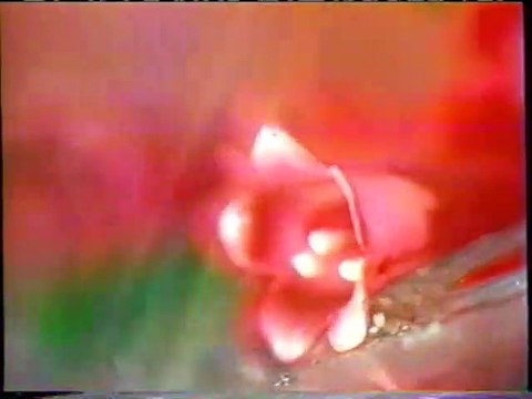 (September 4, 2006) KYW-TV/DT CBS 3 Philadelphia Commercials