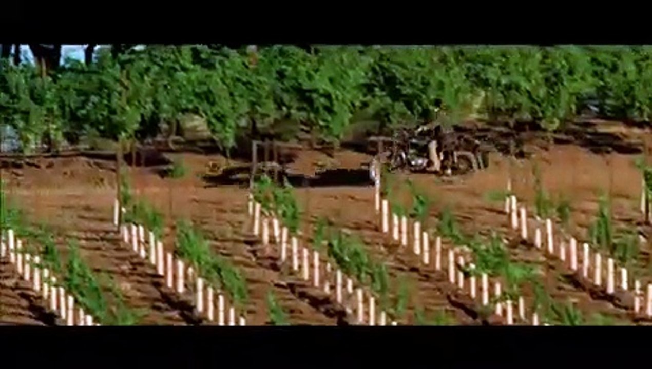 The Official Bottle Shock Trailer- Sundance 2008